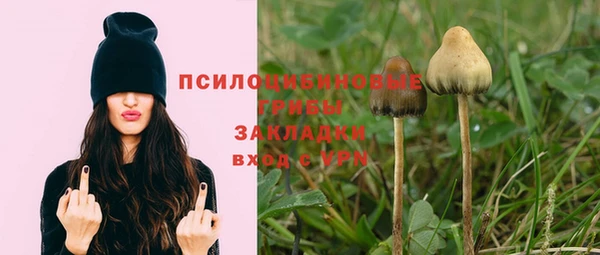 прущий лед Горно-Алтайск