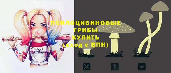шишки Нягань