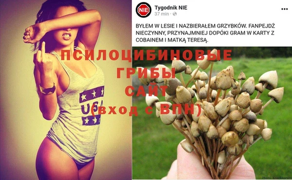МДМА Новокубанск