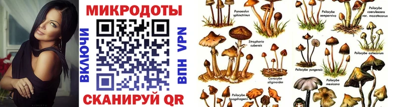 Псилоцибиновые грибы ЛСД  Боровск 